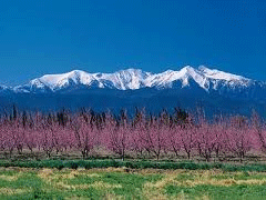 Mt Canigou